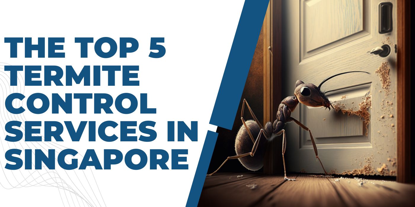 The Top 5 Termite Control Services In Singapore