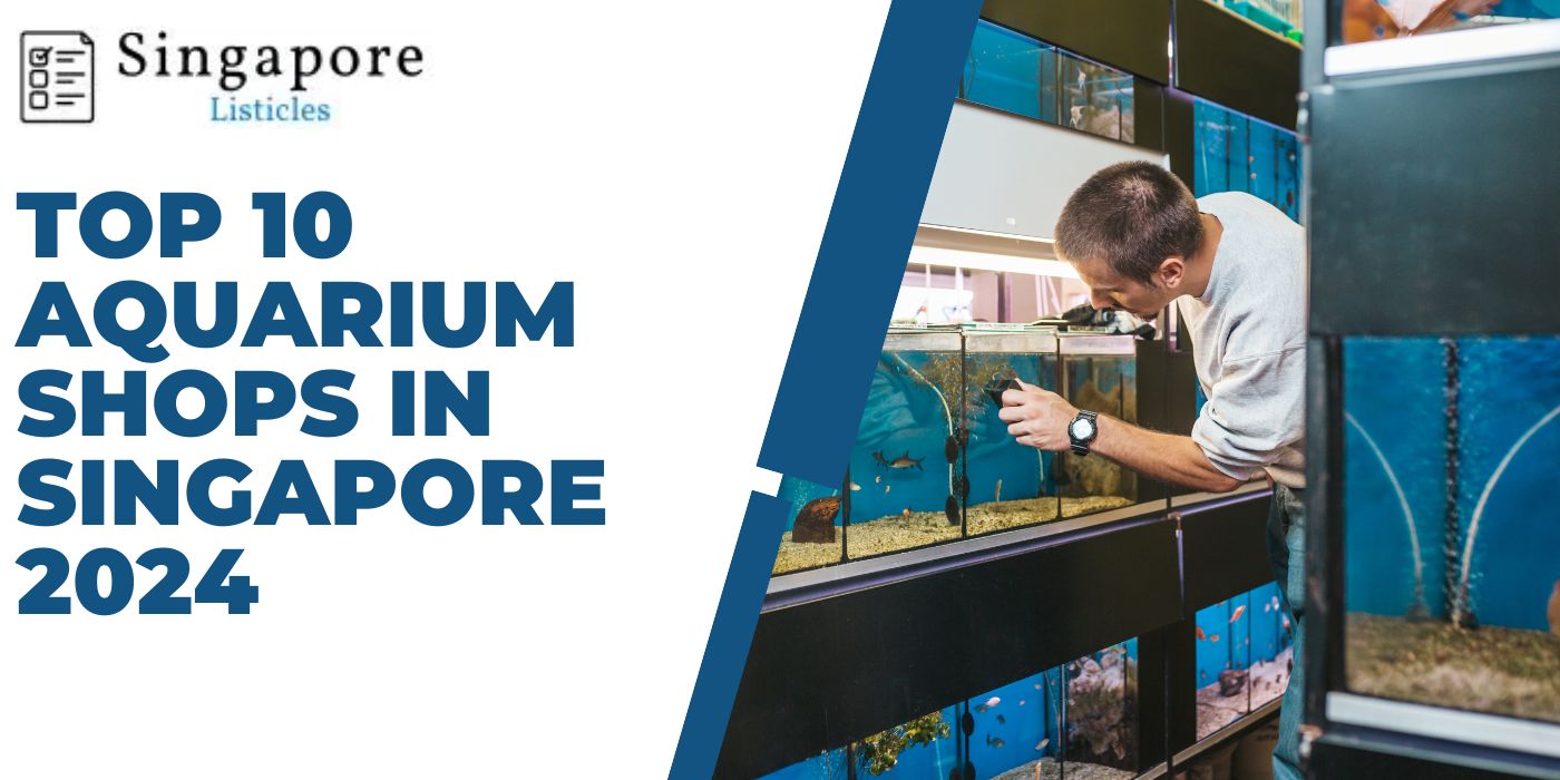 Top 10 Aquarium Shops In Singapore 2024