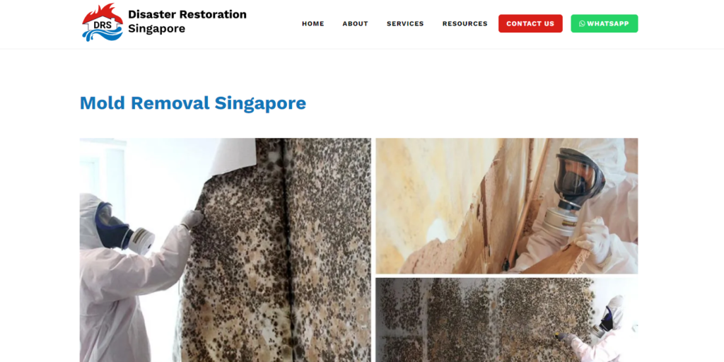 Disaster Restoration Singapore