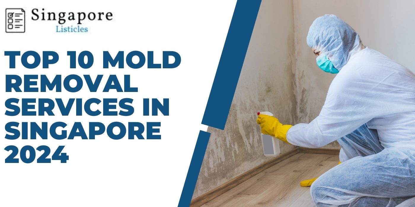 Top 10 Mold Removal Services In Singapore