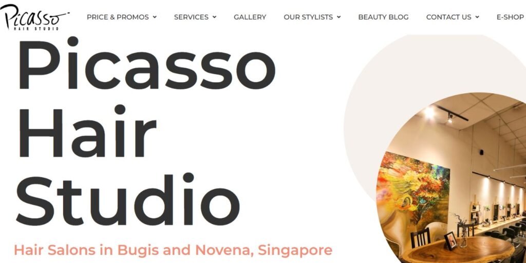 Picasso Hair Studio