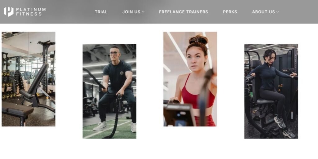 Platinum Fitness